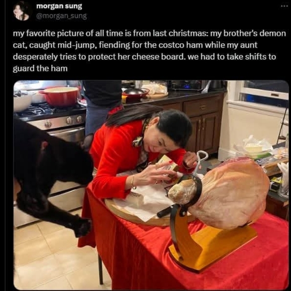 Meet your Posher, Roujii - Picture 7 of 10